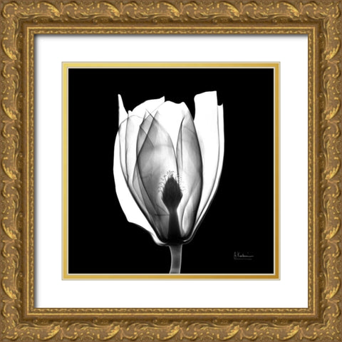 Beautiful Bulb on Black Gold Ornate Wood Framed Art Print with Double Matting by Koetsier, Albert