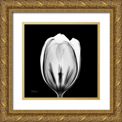 Beautiful Bulb on Black 2 Gold Ornate Wood Framed Art Print with Double Matting by Koetsier, Albert