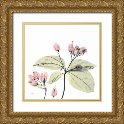 Pretty Pink Blooms 2 Gold Ornate Wood Framed Art Print with Double Matting by Koetsier, Albert
