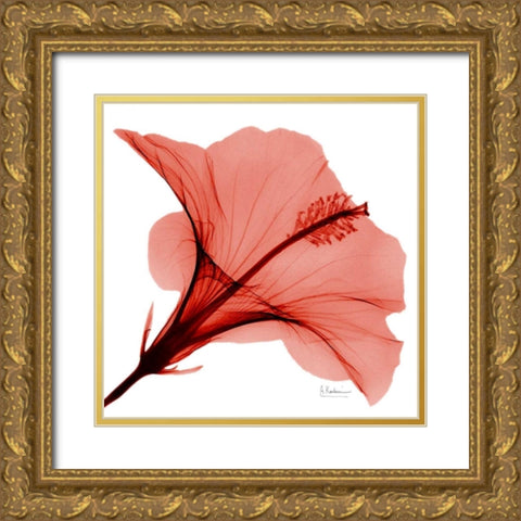 Close Up of Red Beauty 2 Gold Ornate Wood Framed Art Print with Double Matting by Koetsier, Albert