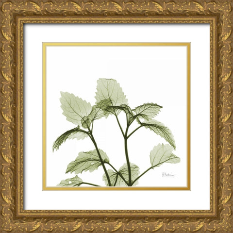 Green Leaves in Bloom Gold Ornate Wood Framed Art Print with Double Matting by Koetsier, Albert