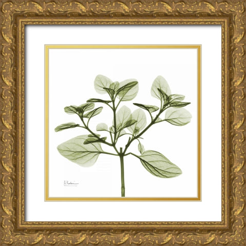 Green Leaves in Bloom 2 Gold Ornate Wood Framed Art Print with Double Matting by Koetsier, Albert