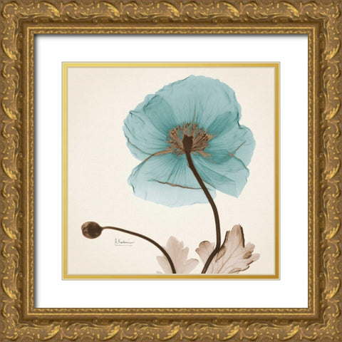 Iceland Poppy Believe Gold Ornate Wood Framed Art Print with Double Matting by Koetsier, Albert