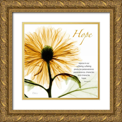 GoldChrysanthemumHOPE Gold Ornate Wood Framed Art Print with Double Matting by Koetsier, Albert