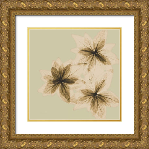 Starburst Gold Ornate Wood Framed Art Print with Double Matting by Koetsier, Albert