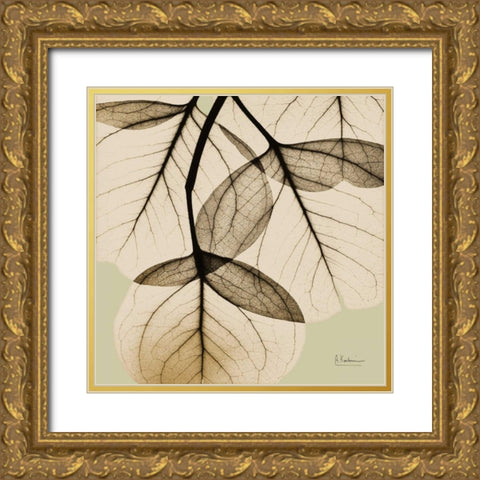 Eucalyptus Gold Ornate Wood Framed Art Print with Double Matting by Koetsier, Albert