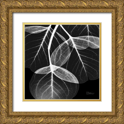 EucalyptusINVERTED Gold Ornate Wood Framed Art Print with Double Matting by Koetsier, Albert