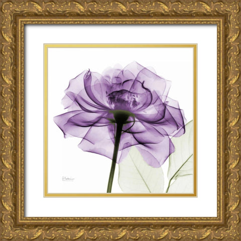 purpleRose Gold Ornate Wood Framed Art Print with Double Matting by Koetsier, Albert