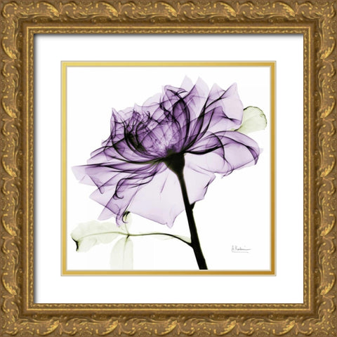 purpleRose2 Gold Ornate Wood Framed Art Print with Double Matting by Koetsier, Albert