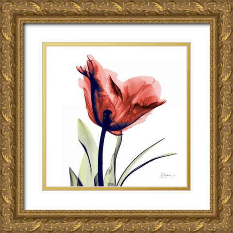 Tulip Red Gold Ornate Wood Framed Art Print with Double Matting by Koetsier, Albert