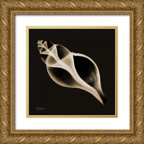 Tulip Shell_sepia Gold Ornate Wood Framed Art Print with Double Matting by Koetsier, Albert