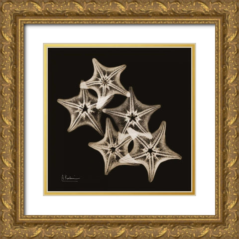 Starfish_sepia Gold Ornate Wood Framed Art Print with Double Matting by Koetsier, Albert