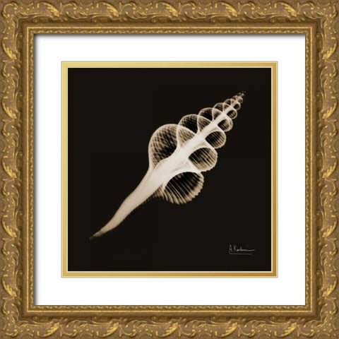 Fusinus Colus_sepia Gold Ornate Wood Framed Art Print with Double Matting by Koetsier, Albert