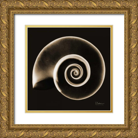 Rams horn Snail Shell Sepia Gold Ornate Wood Framed Art Print with Double Matting by Koetsier, Albert