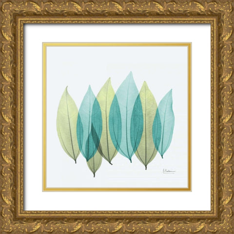 Coculus Leaf L348 Gold Ornate Wood Framed Art Print with Double Matting by Koetsier, Albert