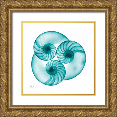 Nautilus Trio Gold Ornate Wood Framed Art Print with Double Matting by Koetsier, Albert