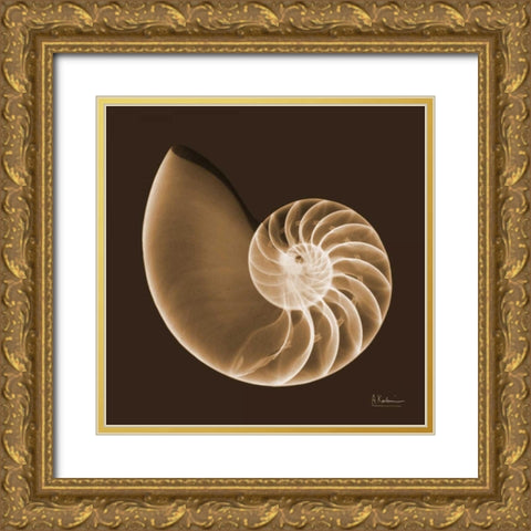 Sepia Nautilus Gold Ornate Wood Framed Art Print with Double Matting by Koetsier, Albert