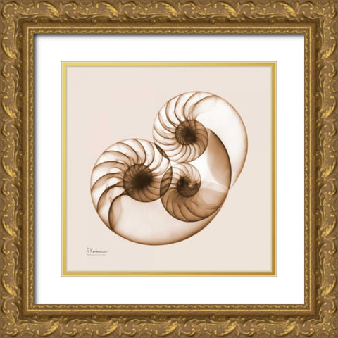 Sepia Nautilus 2 Gold Ornate Wood Framed Art Print with Double Matting by Koetsier, Albert