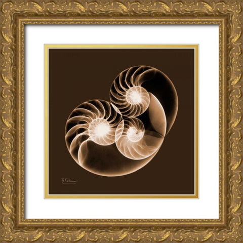 Sepia Nautilus 2 Gold Ornate Wood Framed Art Print with Double Matting by Koetsier, Albert