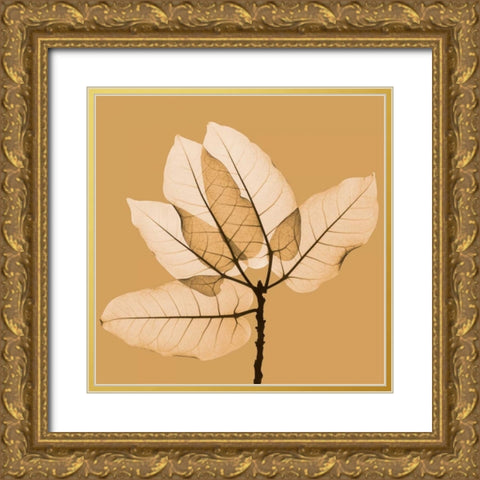 Harvest Leaves 1B Gold Ornate Wood Framed Art Print with Double Matting by Koetsier, Albert