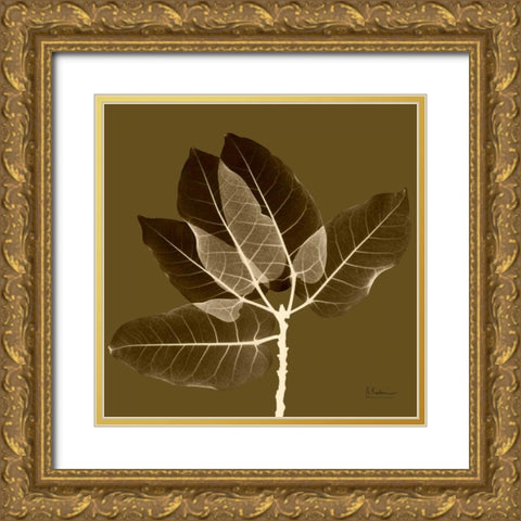 Harvest Leaves 1D Gold Ornate Wood Framed Art Print with Double Matting by Koetsier, Albert