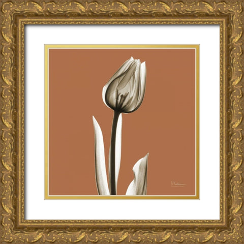 Squash Tulip Gold Ornate Wood Framed Art Print with Double Matting by Koetsier, Albert