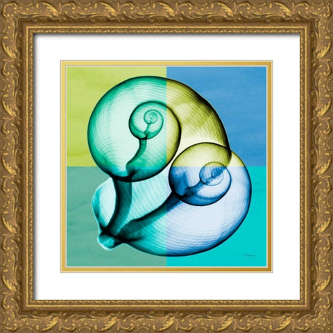 Blue Green Shell 1 Gold Ornate Wood Framed Art Print with Double Matting by Koetsier, Albert