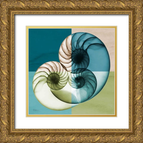 Blue Green Shell 2 Gold Ornate Wood Framed Art Print with Double Matting by Koetsier, Albert