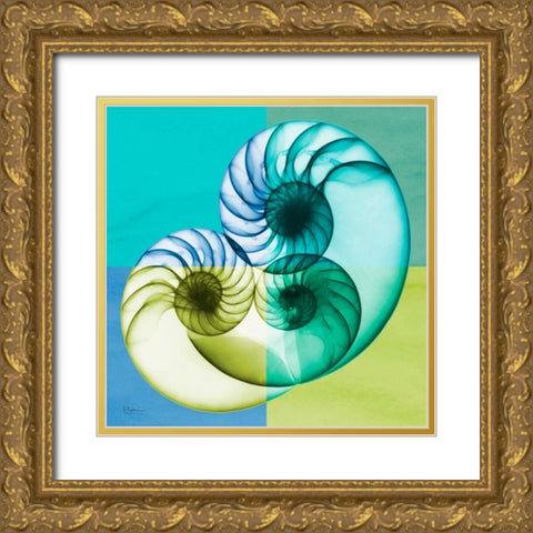 Blue Green Shell 2 Gold Ornate Wood Framed Art Print with Double Matting by Koetsier, Albert