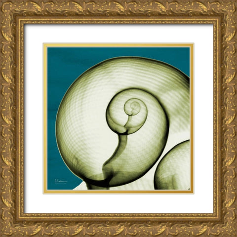 Moon Snail Gold Ornate Wood Framed Art Print with Double Matting by Koetsier, Albert