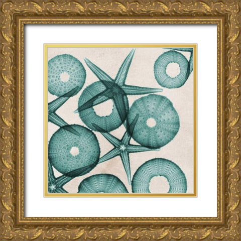 Under The Sea 3 Gold Ornate Wood Framed Art Print with Double Matting by Koetsier, Albert