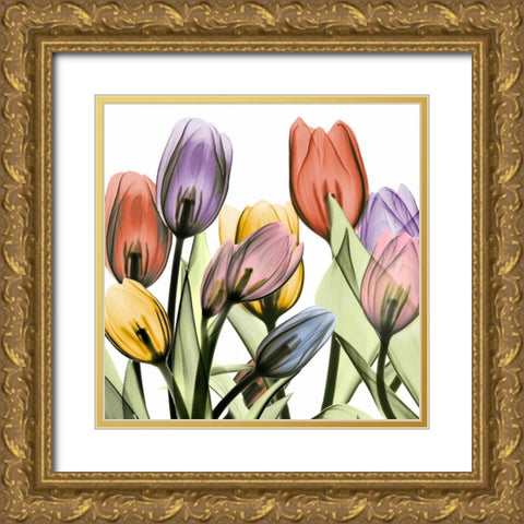 Tulipscape 2 Gold Ornate Wood Framed Art Print with Double Matting by Koetsier, Albert