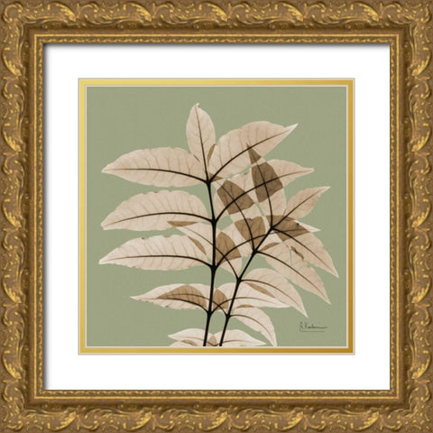 Tree Of Heaven Gold Ornate Wood Framed Art Print with Double Matting by Koetsier, Albert