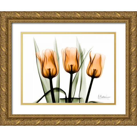Tulips Orange Gold Ornate Wood Framed Art Print with Double Matting by Koetsier, Albert