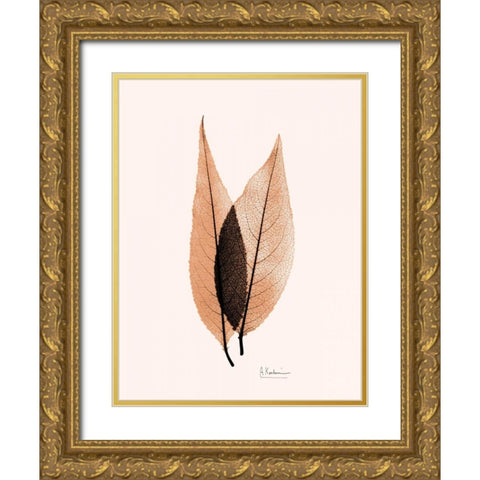 Caplulin Cherry Orange Gold Ornate Wood Framed Art Print with Double Matting by Koetsier, Albert