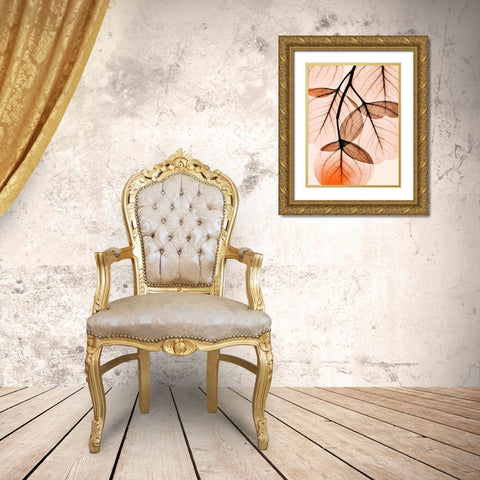 Orange Eucalyptus Gold Ornate Wood Framed Art Print with Double Matting by Koetsier, Albert