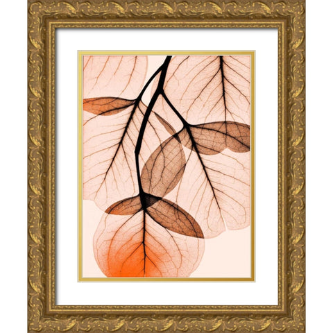 Orange Eucalyptus Gold Ornate Wood Framed Art Print with Double Matting by Koetsier, Albert