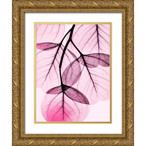 Pink Eucalyptus Gold Ornate Wood Framed Art Print with Double Matting by Koetsier, Albert