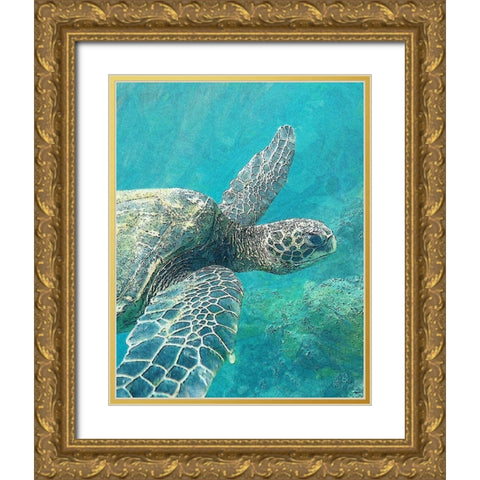 Sea Turtle 1 Gold Ornate Wood Framed Art Print with Double Matting by Bailey, Ann