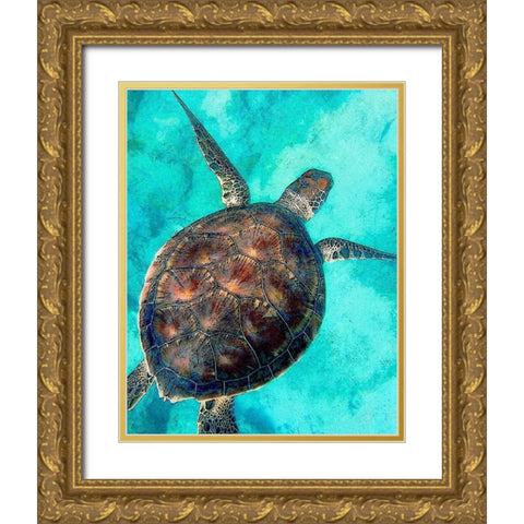 Sea Turtle 2 Gold Ornate Wood Framed Art Print with Double Matting by Bailey, Ann