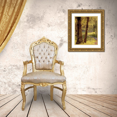Sunlit Path 1 Gold Ornate Wood Framed Art Print with Double Matting by Bailey, Ann