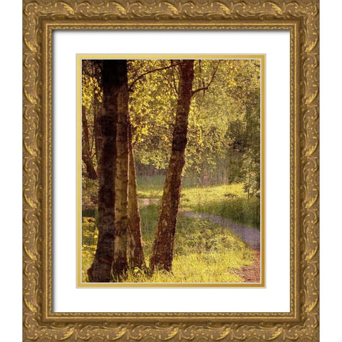 Sunlit Path 1 Gold Ornate Wood Framed Art Print with Double Matting by Bailey, Ann