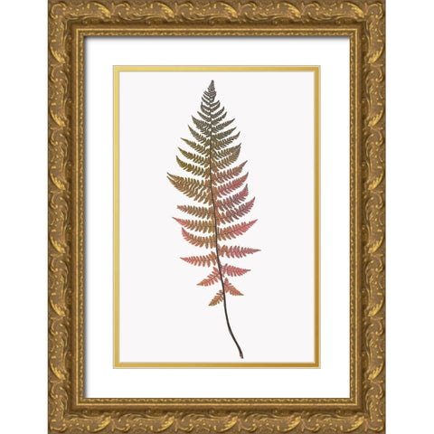 Coral Gold Fern 2 Gold Ornate Wood Framed Art Print with Double Matting by Bailey, Ann