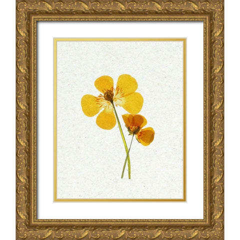 Little 1 Gold Ornate Wood Framed Art Print with Double Matting by Bailey, Ann