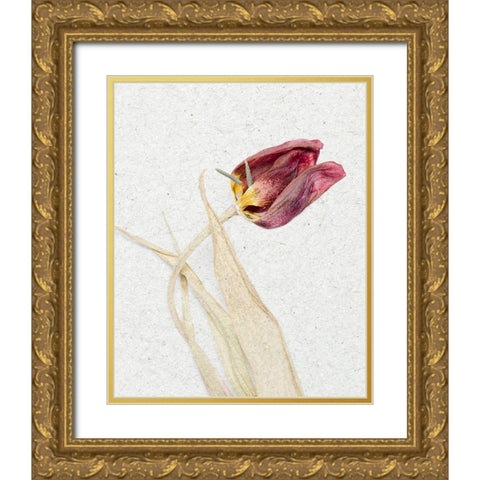 Pressed 2 Gold Ornate Wood Framed Art Print with Double Matting by Bailey, Ann