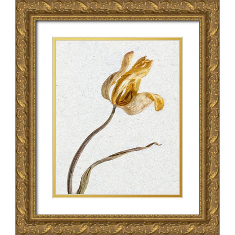 Pressed 3 Gold Ornate Wood Framed Art Print with Double Matting by Bailey, Ann
