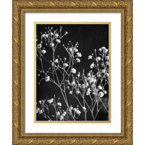 Delicate 2 Gold Ornate Wood Framed Art Print with Double Matting by Bailey, Ann