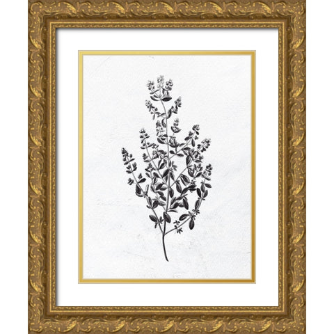 Pressed Herbs 1 Gold Ornate Wood Framed Art Print with Double Matting by Bailey, Ann