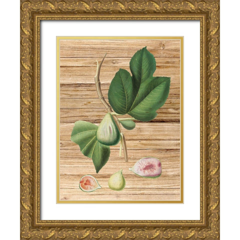Pressed Fruit 2 Gold Ornate Wood Framed Art Print with Double Matting by Bailey, Ann