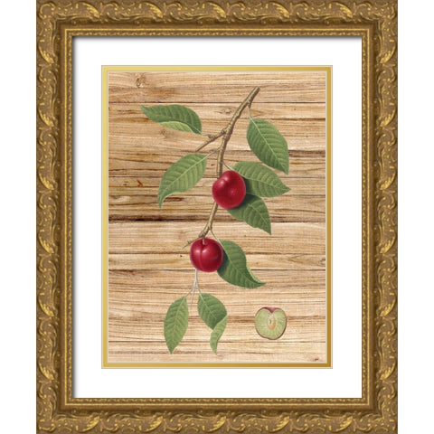 Pressed Fruit 3 Gold Ornate Wood Framed Art Print with Double Matting by Bailey, Ann